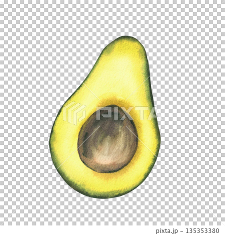 Watercolor avocado cut in half with brown seed. Hand drawn realistic green fruit illustration isolated from background for food design, healthy lifestyle packaging, menus, exotic vegetables label. 135353380