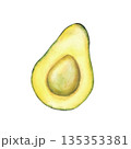 Watercolor avocado cut in half without seed. Hand drawn realistic green exotic fruit pulp illustration isolated from background for healthy fresh food design, packaging, diet menu, farm product label 135353381