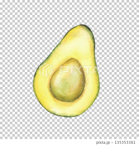 Watercolor avocado cut in half without seed. Hand drawn realistic green exotic fruit pulp illustration isolated from background for healthy fresh food design, packaging, diet menu, farm product label 135353381