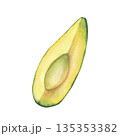 Watercolor Fresh avocado slice. Sliced peeled fruit without seed. Hand drawn realistic green exotic vegetables quarter piece, pulp Isolated from background illustration for healthy food ingredient. 135353382