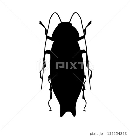 Cockroach vector black silhouette illustration. Insect outline for pest control and entomology. Elongated beetle graphic for design and educational material. Weevil outline drawing. Cockroach vector black silhouette illustration. Insect outline for pest control and entomology. Elongated beetle graphic for design and educational material. Weevil outline drawing. 135354258