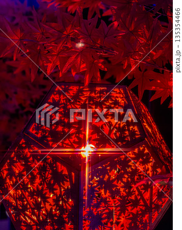 茨城県大子町　袋田の滝のトンネル 135354466