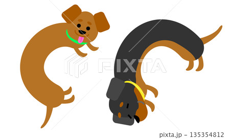 くるっと回る犬たちのかわいいキャラクターイラスト 135354812