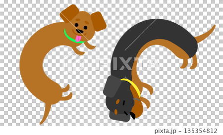 くるっと回る犬たちのかわいいキャラクターイラスト 135354812