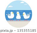 防波堤に並ぶ3羽のかもめのシンプルかわいいフラットイラスト 135355185
