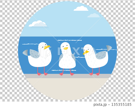 A simple, cute, flat illustration of three seagulls lined up on a breakwater A simple, cute, flat illustration of three seagulls lined up on a breakwater 135355185
