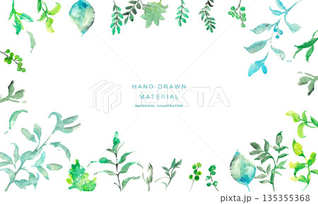 水彩画。水彩タッチの植物ベクターイラストセット。夏のシンプル植物のベクター背景。 水彩画。水彩タッチの植物ベクターイラストセット。夏のシンプル植物のベクター背景。 135355368