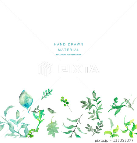 水彩画。水彩タッチの植物ベクターイラストセット。夏のシンプル植物のベクター背景。 水彩画。水彩タッチの植物ベクターイラストセット。夏のシンプル植物のベクター背景。 135355377