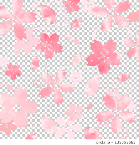 桜の手描き風の和風花びら背景_背景なし_正方形 135355663
