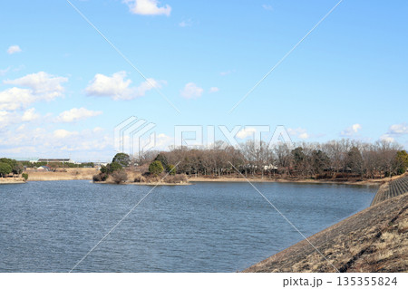 加古大池でバードウォッチング（兵庫県 稲美町） 135355824