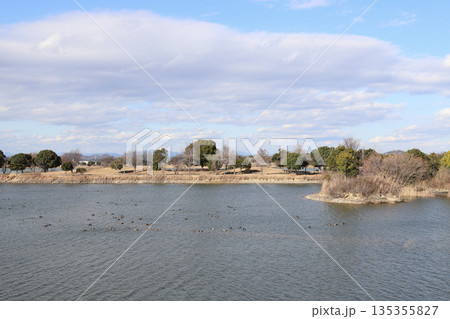 加古大池でバードウォッチング（兵庫県 稲美町） 135355827