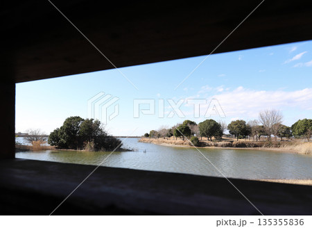 加古大池 野鳥観察壁からバードウォッチング（兵庫県 稲美町） 135355836