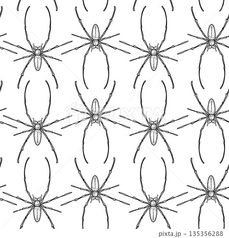 Spider black white vector seamless pattern. Insect animal monochrome background. Halloween or gothic concept with spiders for design textile print or wrap paper. Insect print wallpaper. Bugs pattern. 135356288