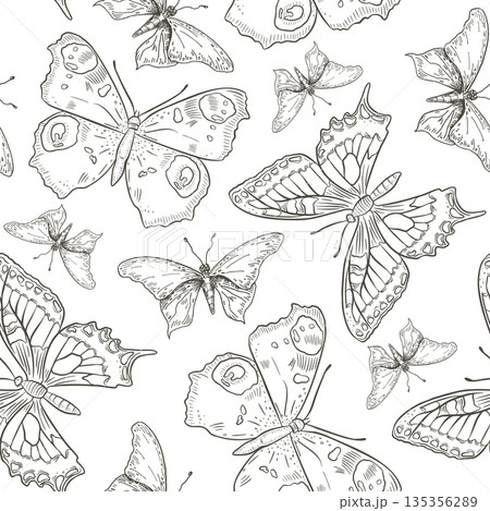 Seamless pattern with hand drawn black white vector butterflies. Graphic sketch insects as ornamental background. Natural monochrome print for design textile, backdrop. Butterfly repeat for cover. 135356289