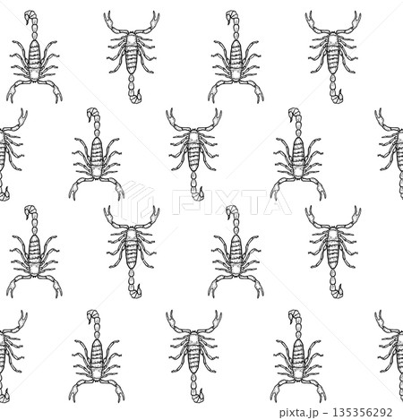 Black and white scorpion vector hand drawing seamless pattern design. Reptile animal in outline linear graphic wallpaper. Scorpio zodiac sign monochrome repeat background. Scorpion minimal print. 135356292