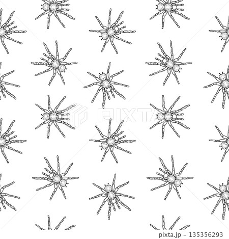 Seamless pattern with a spider vector outline for halloween decoration and scary design. Hand drawn engraving style Tarantula background for textile print. Spooky animals black white repeat texture. Seamless pattern with a spider vector outline for halloween decoration and scary design. Hand drawn engraving style Tarantula background for textile print. Spooky animals black white repeat texture. 135356293