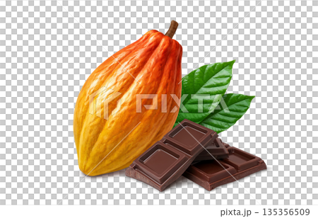 Chocolate cacao illustration realistic Chocolate cacao illustration realistic 135356509