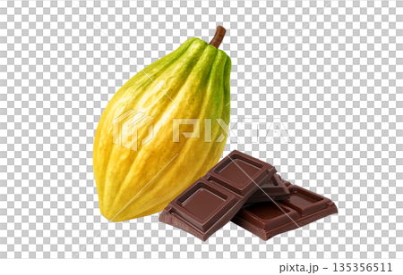 チョコレート カカオ イラスト リアル チョコレート カカオ イラスト リアル 135356511