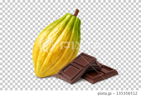 チョコレート カカオ イラスト リアル 135356512