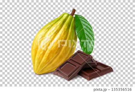 逼真的可可巧克力插圖 135356516