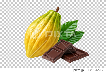 カカオ チョコレート イラスト リアル 135356517