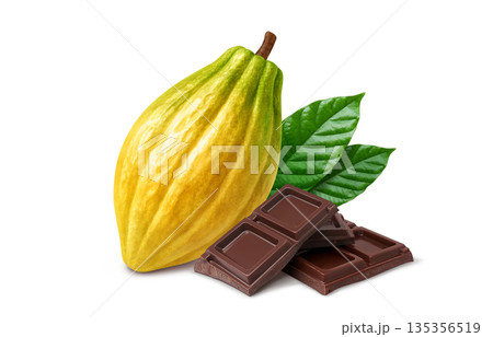 カカオ チョコレート イラスト リアル 135356519