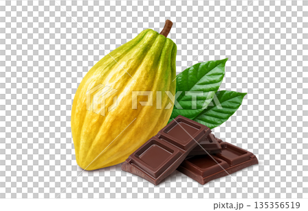 カカオ チョコレート イラスト リアル 135356519