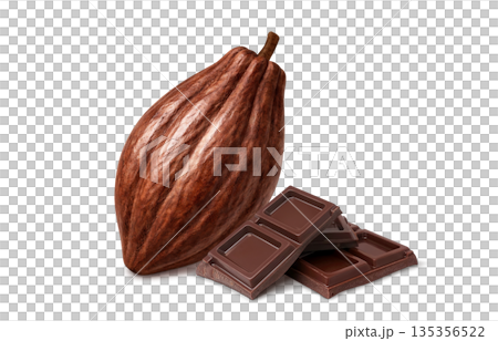巧克力可可插圖逼真 135356522