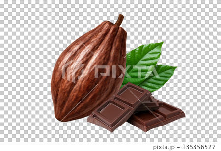 Cacao chocolate illustration realistic 135356527