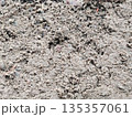 Close up of brown fertile soil texture for gardening and agricultural background. 135357061