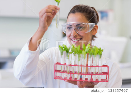 Woman wearing lab coat and goggles examining green seedlings in red test tube rack in laboratory Woman wearing lab coat and goggles examining green seedlings in red test tube rack in laboratory 135357497