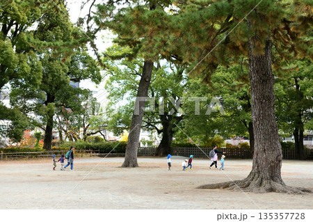 小田原城址公園で遊ぶ幼稚園児 135357728
