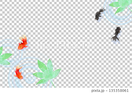 上から見た金魚と葉と水面の波紋　ミニマルな和風イラスト 135358061