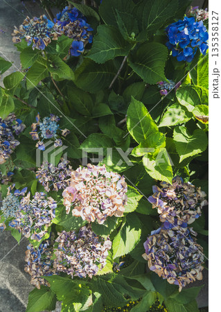 various various 135358127