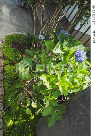 various 135358140