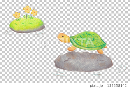 亀のイラスト 135358142
