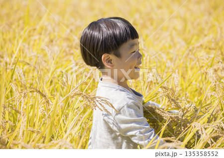 稲田に入る男の子 稲刈りイメージ 稲田に入る男の子 稲刈りイメージ 135358552