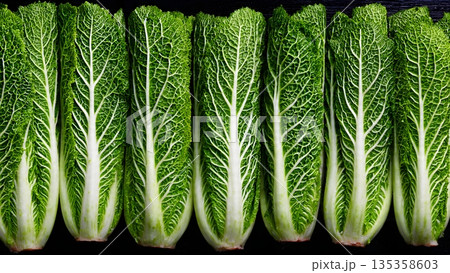 Fresh green napa cabbage leaves arranged neatly showcasing crisp white veins and vibrant texture for culinary use in healthy vegetable dishes everyday market. AI Generated Fresh green napa cabbage leaves arranged neatly showcasing crisp white veins and vibrant texture for culinary use in healthy vegetable dishes everyday market. AI Generated 135358603