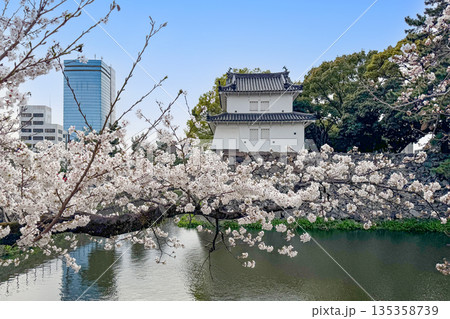 大分府内城址と満開の桜 大分府内城址と満開の桜 135358739
