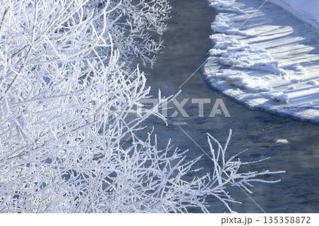 冬 極寒の朝 白銀の霧氷に覆われた河畔林 冬 極寒の朝 白銀の霧氷に覆われた河畔林 135358872