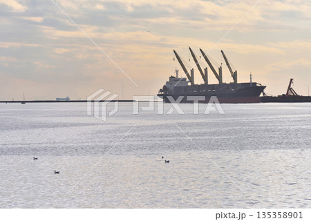 大型船舶が停泊する南船橋海老川河口 135358901