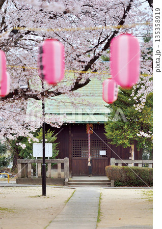 春日公園(蕨市) 春日公園(蕨市) 135358919