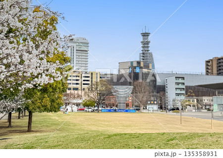 いこいの道と桜 135358931