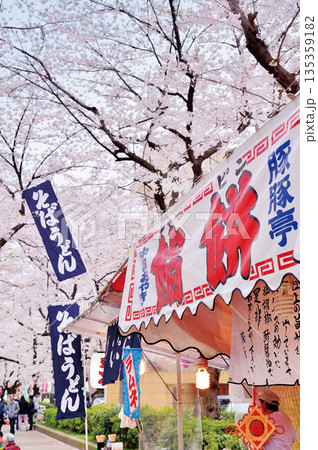 南町桜並木（蕨市） 135359182