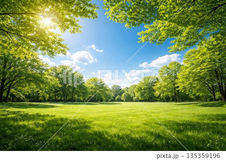 新緑　草原　青空　若葉　フォトリアル 135359196