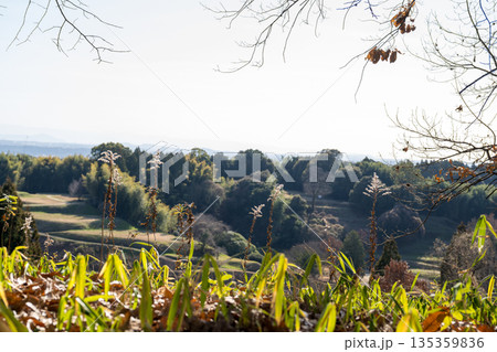 古代の丘に晴天の青空と白い雲の鞠智城 135359836