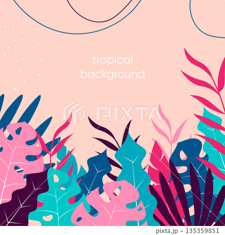 summer background design 135359851