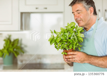 Senior man sniffing basil in terra-cotta pot in home kitchen wearing mint-green apron, copy space 135360776