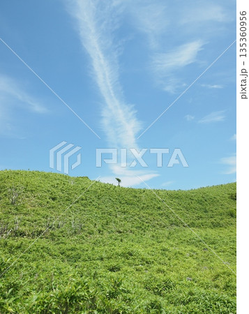 爽やかな青空と草原 135360956