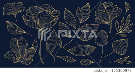 Vector set of line flowers and leaves. Golden Chinese rises, branches on dark background isolated. Elegant luxury spring illustration. 135360973